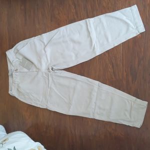 Everlane Relaxed Chino